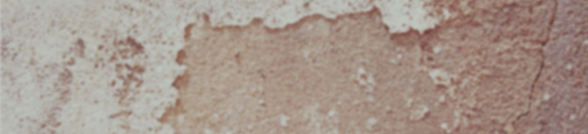 云呼短信测压网页版